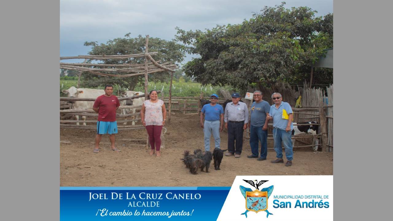 Ganaderos Del Sector Niño De Ayaví Participarán En Programa Procompite
