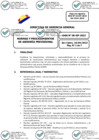 Vista preliminar de documento 01 2023-04-10 Directiva N° DGG-06-GP-2023
