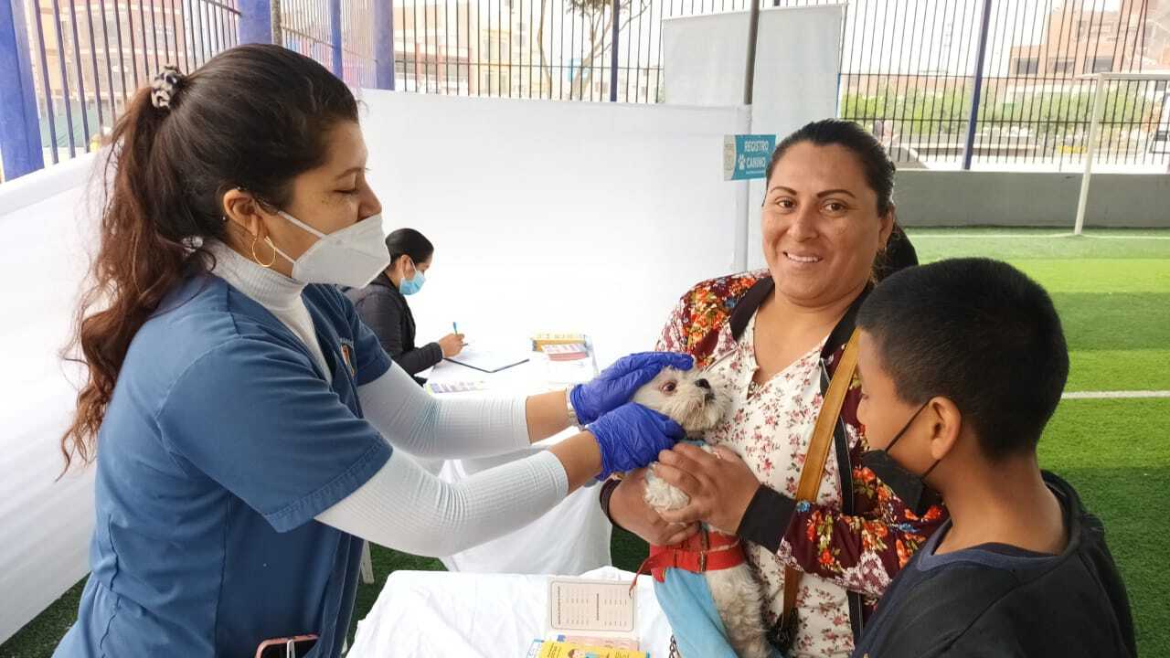 Foto Chorrillos se prepara para sus campañas gratuitas de Salud Integral y Veterinaria