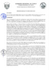 Vista preliminar de documento Ordenanza Regional