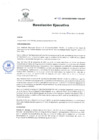 Vista preliminar de documento REN°66-2019-OEA.pdf