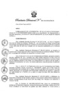 Vista preliminar de documento Resolución Directoral