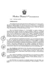 Vista preliminar de documento Resolución Directoral