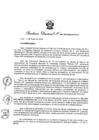 Vista preliminar de documento Resolución Directoral