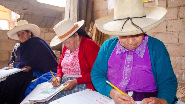 Educación Básica Alternativa