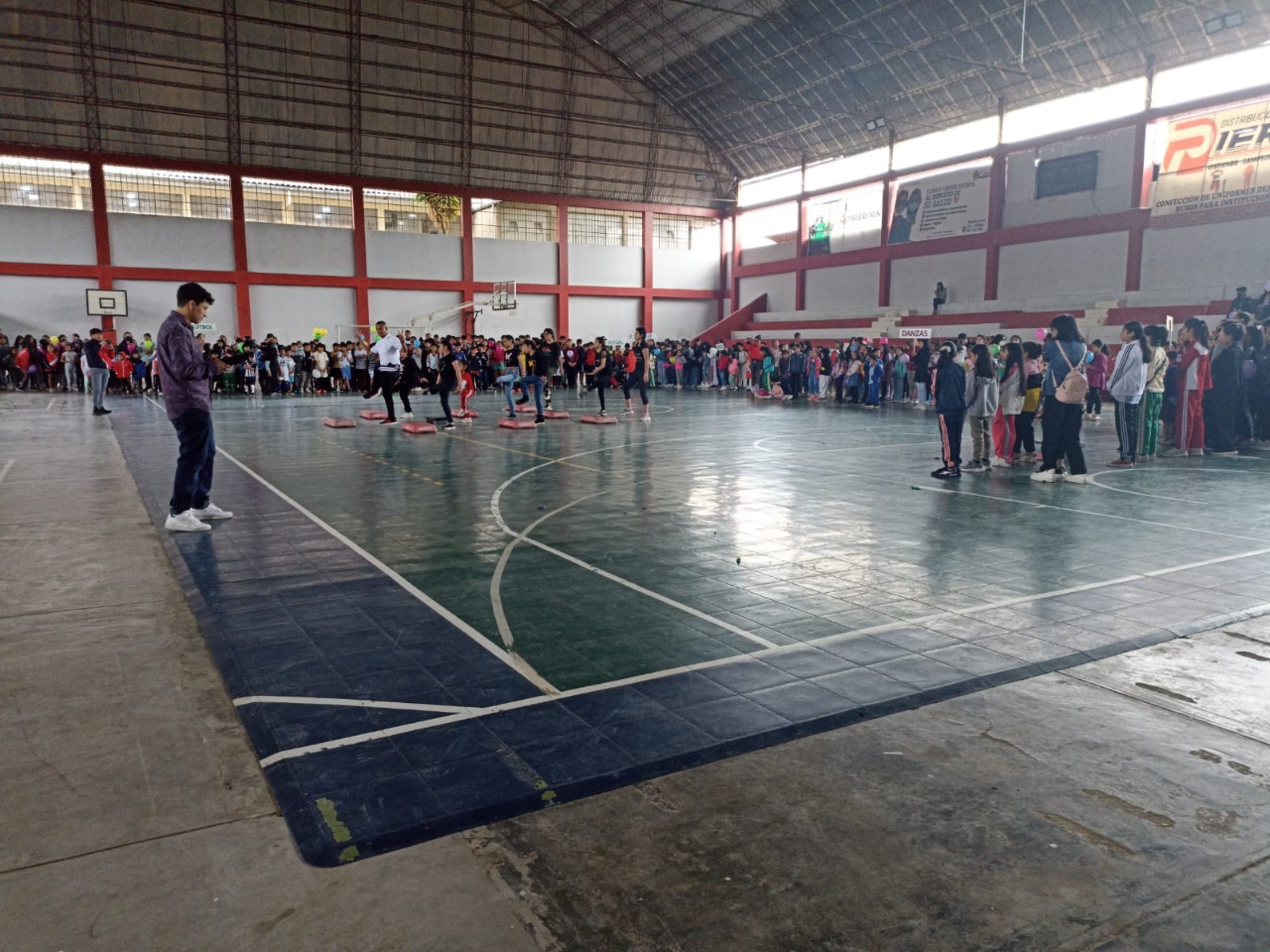 LA ACADEMIA IPD
