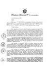 Vista preliminar de documento Resolución Directoral