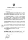 Vista preliminar de documento Resolución Directoral