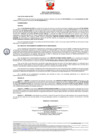 Vista preliminar de documento 482 007-0019649-2018