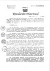 Vista preliminar de documento RESOLUCIÓN DIRECTORAL N° 021-2023.pdf