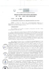 Vista preliminar de documento Resolución Ejecutiva Regional