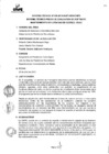 Vista preliminar de documento Informe Tecnico N038-2013-SGPT-GSIE-ONPE 