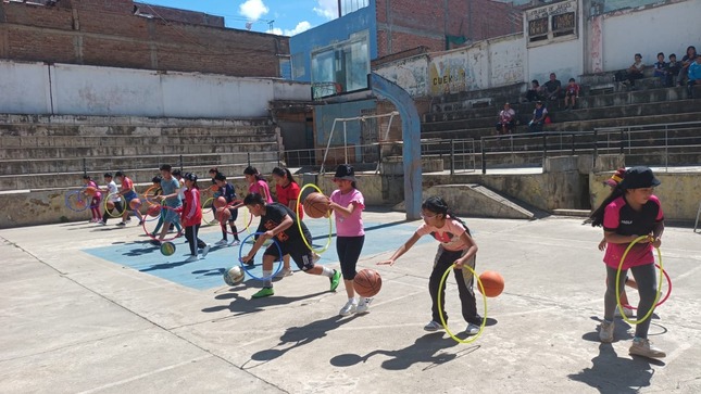 la academia ipd