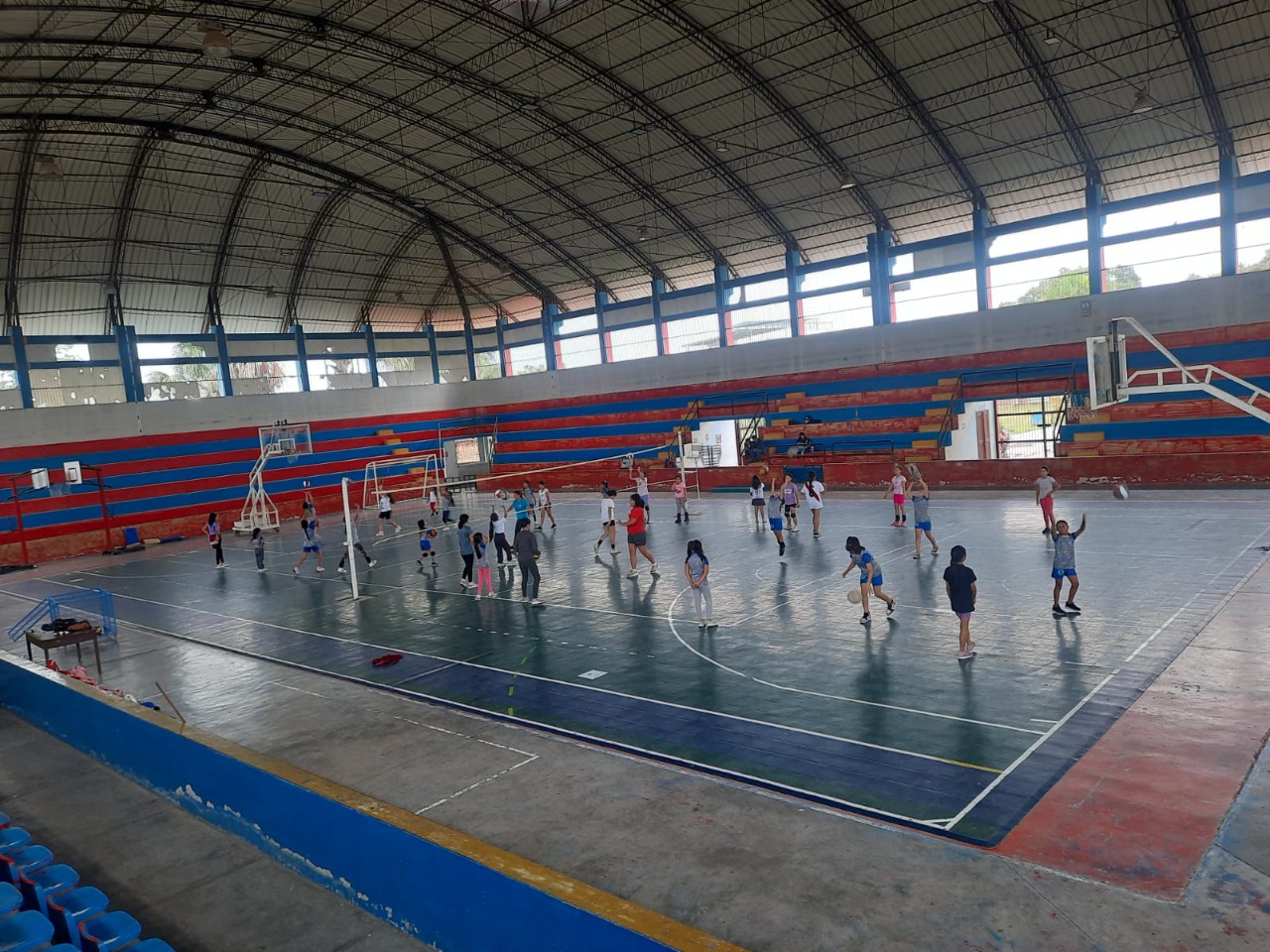la academia ipd