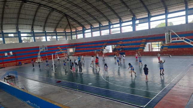 la academia ipd