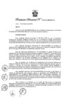 Vista preliminar de documento Resolución Directoral