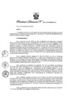 Vista preliminar de documento Resolución Directoral
