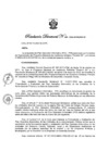 Vista preliminar de documento Resolución Directoral