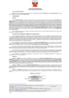 Vista preliminar de documento 625 011-0023175-2019