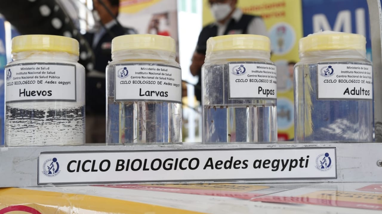 Minsa lanza estrategia “Dengue Móvil” para impulsar la prevención contra la enfermedad en el país