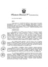 Vista preliminar de documento Resolución Directoral