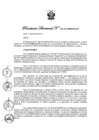 Vista preliminar de documento Resolución Directoral