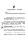 Vista preliminar de documento Resolución Directoral