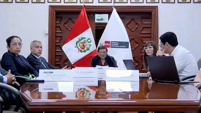 Viceministra Silvia Loli