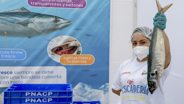 Se beneficiarán más de 12 mil familias en situación de vulnerabilidad.