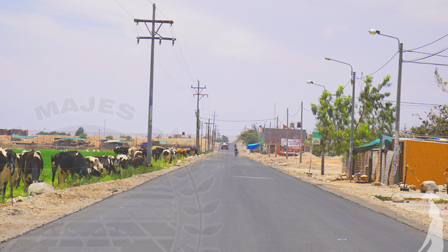 Fotos de la inspección realizada