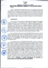 Vista preliminar de documento RESOLUCIÓN GERENCIAL GENERAL N° 085-2020/GRP-PEIHAP.pdf