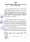 Vista preliminar de documento RESOLUCIÓN GERENCIAL GENERAL N° 009-2021/GRP-PEIHAP.pdf