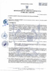 Vista preliminar de documento RGM_001_2021_MPH