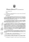 Vista preliminar de documento Resolución Directoral