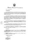 Vista preliminar de documento Resolución Directoral