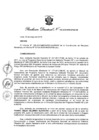 Vista preliminar de documento Resolución Directoral