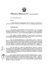 Vista preliminar de documento Resolución Directoral