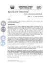Vista preliminar de documento R.D.N°014-2023-HGJ-DE.pdf