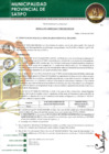 Vista preliminar de documento RESOLUCION GERENCIAL 0025-2023-GM-MPS.pdf