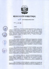 Vista preliminar de documento RD-195-2019