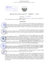 Vista preliminar de documento Resolución Directoral. Nº 0247 - 2023 -