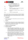Vista preliminar de documento INFORME-001-2020-CNSST