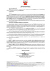 Vista preliminar de documento 641 010-0036781-2019