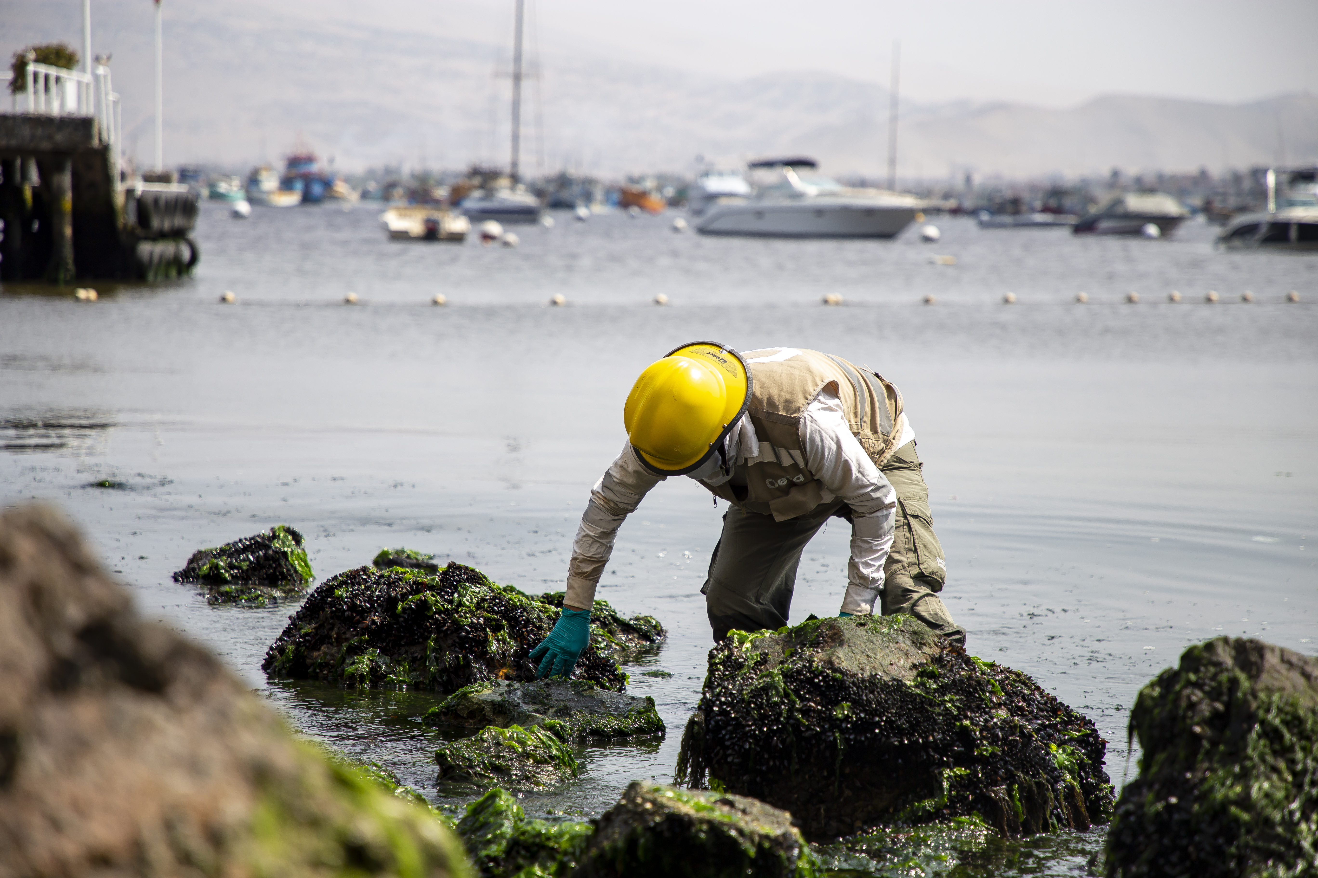 Diez playas afectadas por derrame de petróleo de Repsol aún están contaminadas