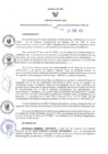 Vista preliminar de documento RES N°196-20213-GR