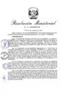 Vista preliminar de documento RM.N° 371