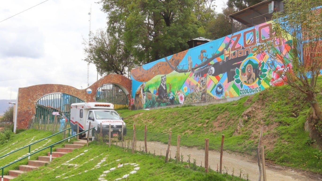 Junín: intensifican acciones frente al brote de influenza aviar en zoológico de Huancayo