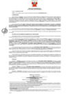 Vista preliminar de documento 707 008-0036319-2019