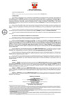 Vista preliminar de documento 734 011-0020000-2019