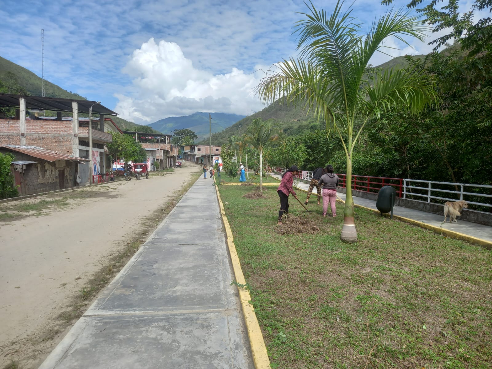 Foto 5